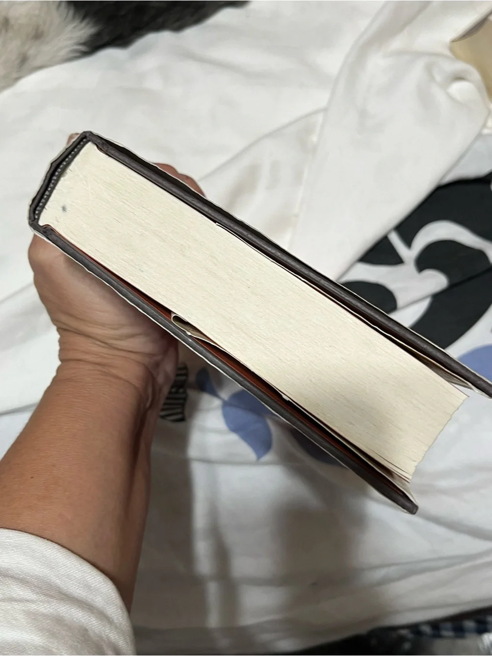J.K. Rowling “The Casual Vacancy” Book - Hard Cover Red & Yellow